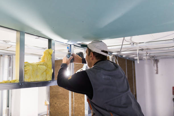 Best Insulation Maintenance and Repair in Wheaton, MN