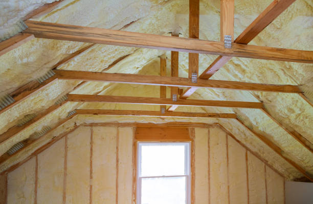 Best Types of Insulation in Wheaton, MN