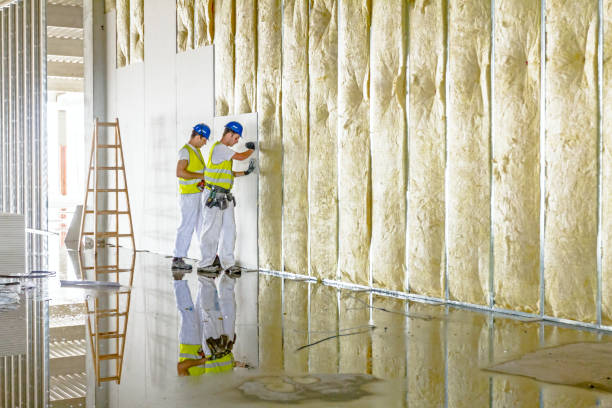 Best Insulation Maintenance and Repair in Wheaton, MN